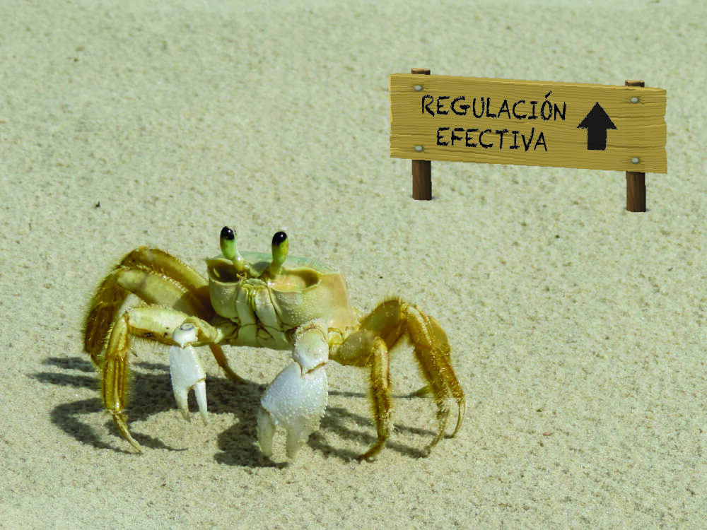 Avanzar en regulacion como los cangrejos